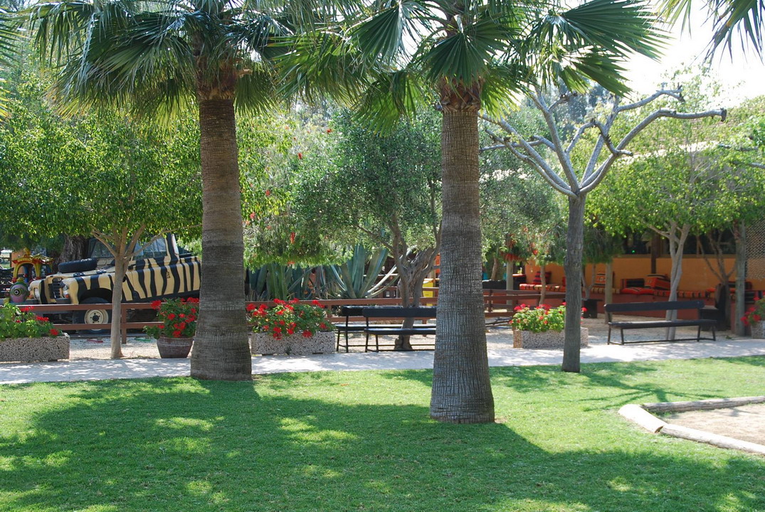  Park kamila Mazotos Kipar 